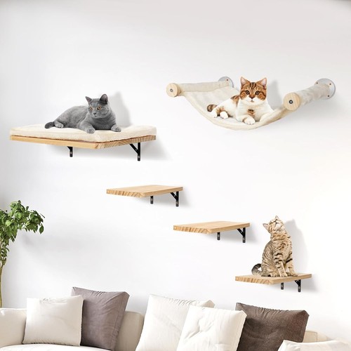 Katzen kletterwand set aus - katzen,