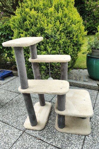 Katzen hunde treppe - katzen-, -treppe